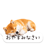 826440446