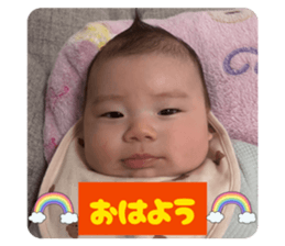 826455638