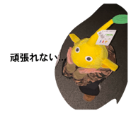 826459620