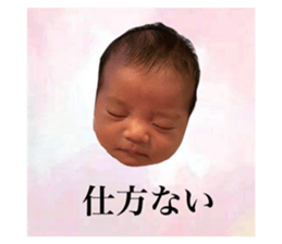 826460516