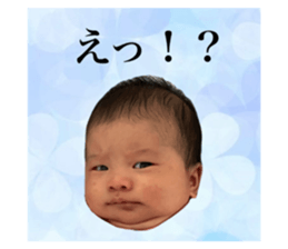 826460524