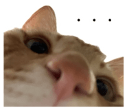 826463813