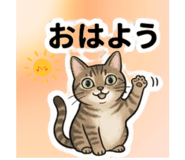 826466537