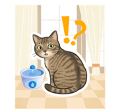 826466548