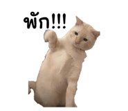 826470384