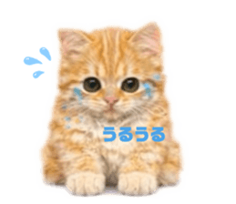 826473111