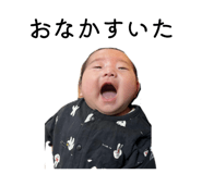 826473379