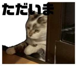 826480949