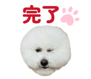 826482844