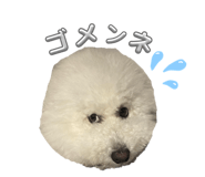 826482845