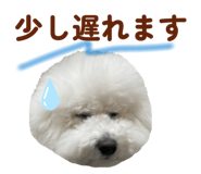 826482865