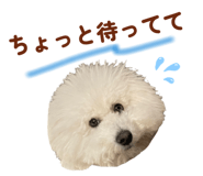 826482866