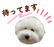 826482867
