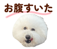 826482869