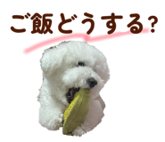 826482870