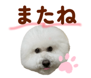 826482872
