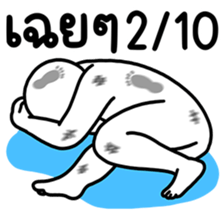 ลายที่ 11