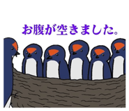 826486697