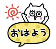 826498805