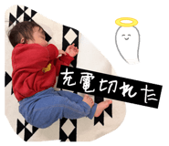 826512981