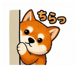 826515017