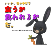 826517746