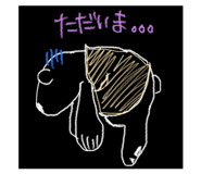 826555772