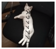 826556708