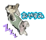 826560727