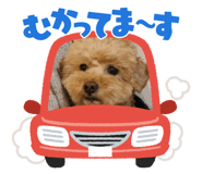 826560729
