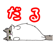 826560905