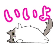 826560906