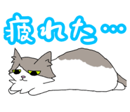 826560920