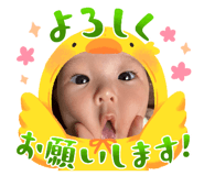 826561084
