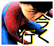 826561177