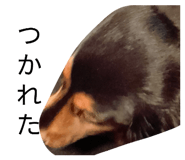 826567137