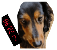 826567138