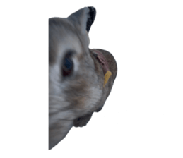 826567502
