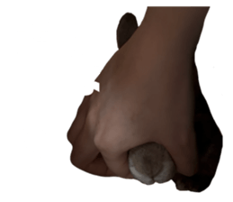 826567509