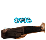 826591354