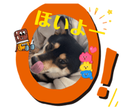 826592731