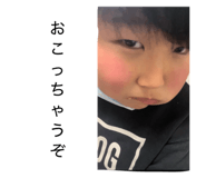826595555