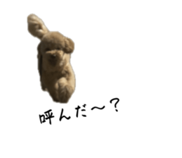 826599988