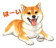826607717