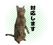 826610962