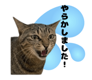 826610967