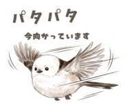 826611374