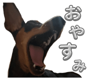 826614852