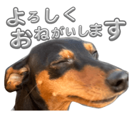 826614858