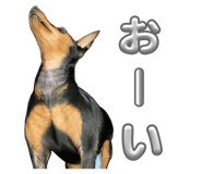 826614864
